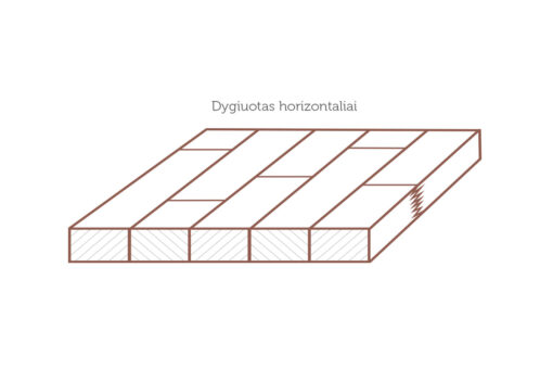 dygiuotas horizontaliai