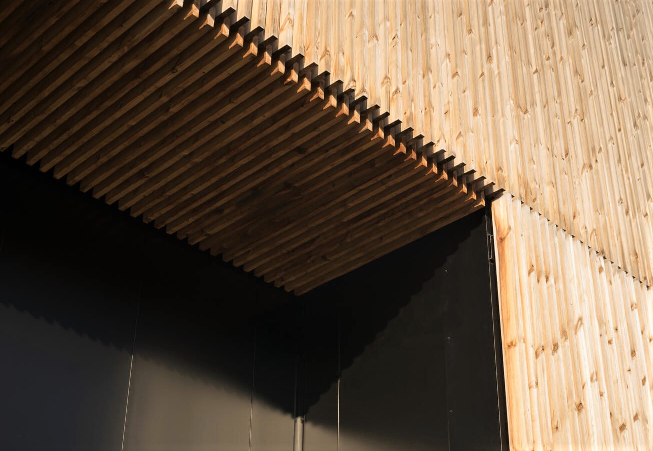 Modern facade and ceiling made of larch wood strips