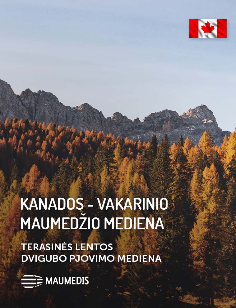 Viršeliai - Vakarinis maumedis